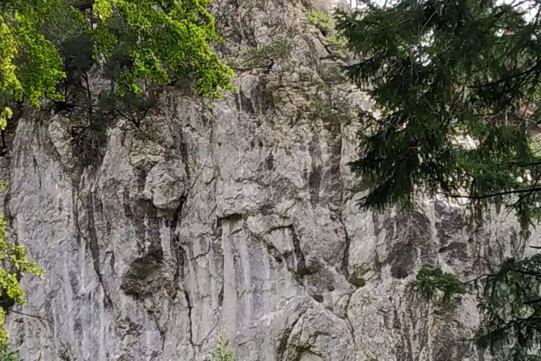 Oberdorf-Kreuzwand