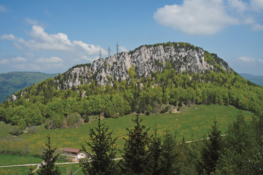 Rüttelhorn