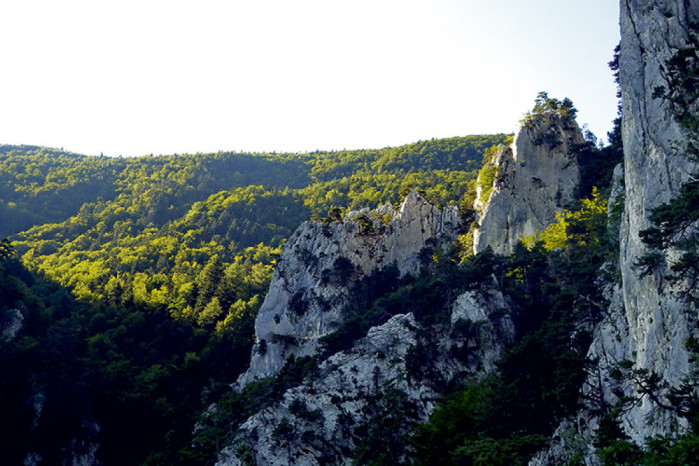Oberdorf-Kreuzwand
