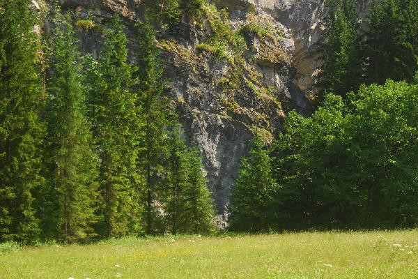 Wildi-Kandersteg
